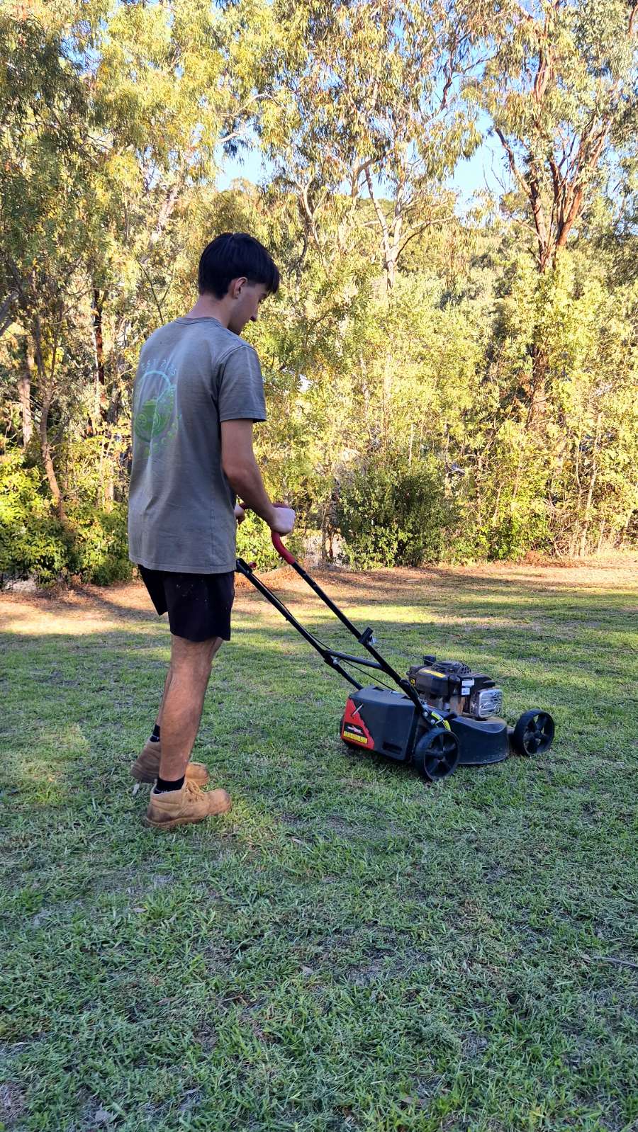 Residential Lawn