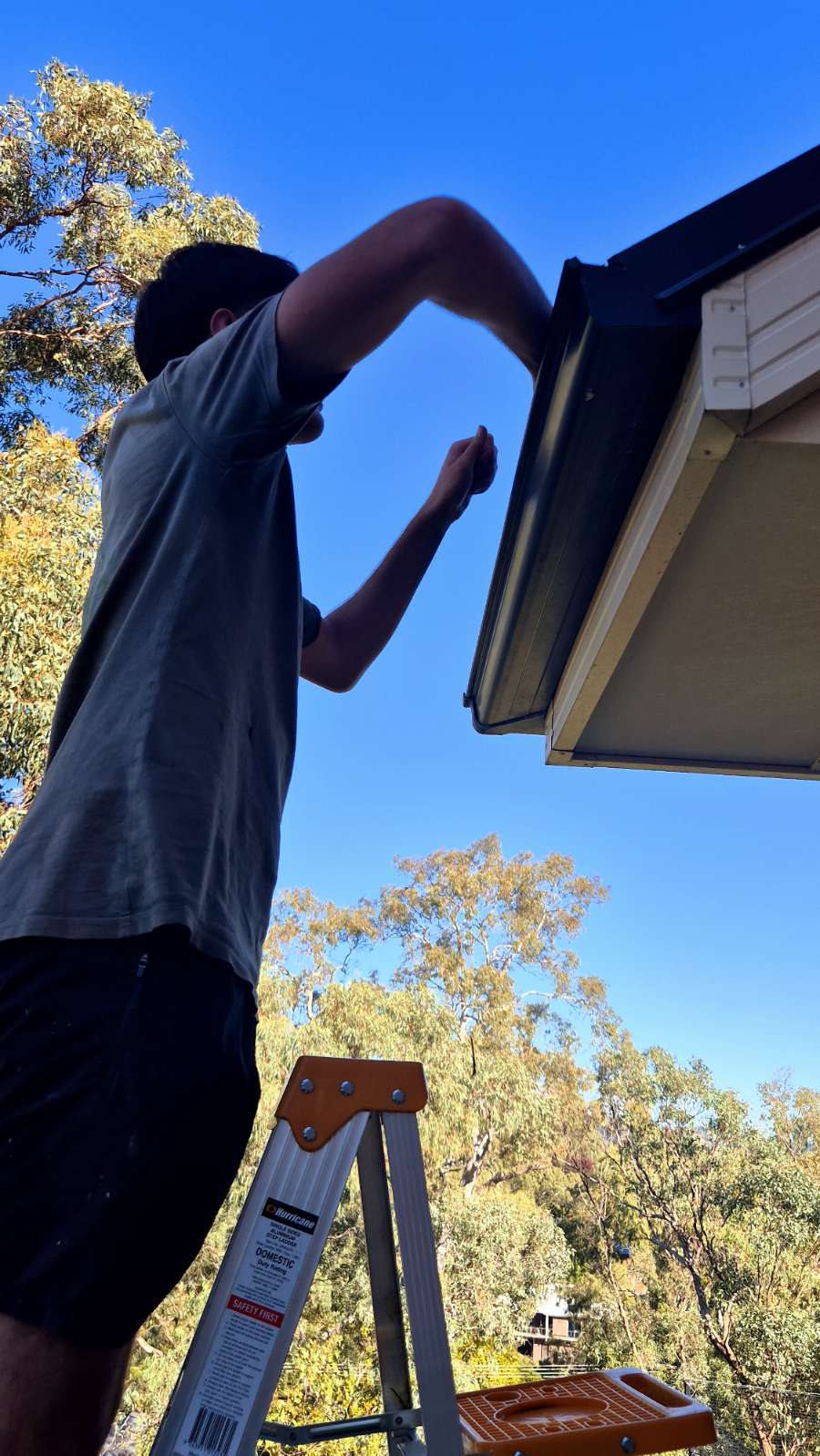 Gutter Cleaning & Land Clearing